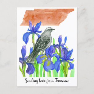 Liefde sturen Tennessee Mockingbird Iris Flower Briefkaart