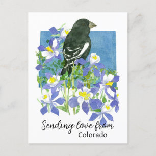 Liefde sturen van Colorado Park Bunting Columbines Briefkaart