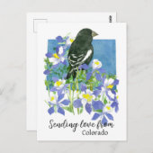 Liefde sturen van Colorado Park Bunting Columbines Briefkaart (Voorkant / Achterkant)