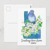 Liefde sturen van Idaho Bluebird Syringa Briefkaart (Voorkant / Achterkant)