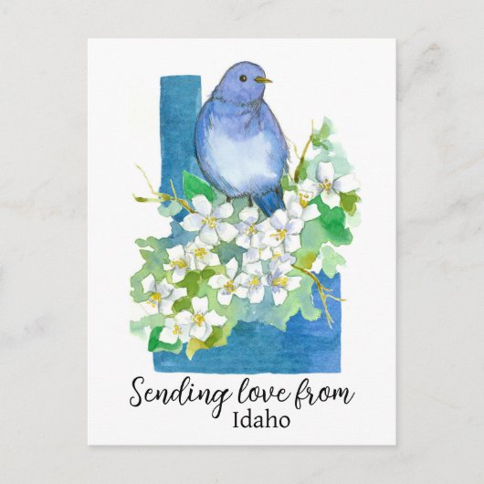 Liefde sturen van Idaho Bluebird Syringa Briefkaart (Voorkant)