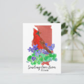 Liefde sturen van kardinaal Violets van Illinois Briefkaart (Staand voorkant)