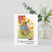 Liefde sturen vanuit California Quail Poppies Briefkaart (Staand voorkant)
