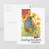 Liefde sturen vanuit California Quail Poppies Briefkaart (Voorkant / Achterkant)