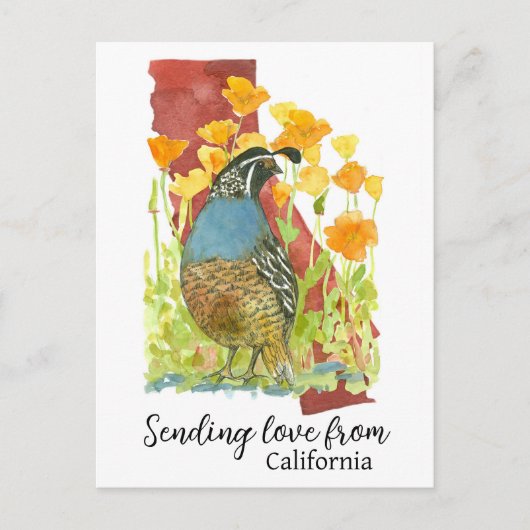 Liefde sturen vanuit California Quail Poppies Briefkaart (Voorkant)