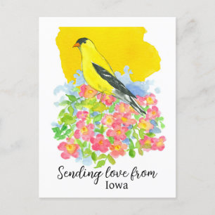 Liefde sturen vanuit Iowa Goldfinch Prairie Roos Briefkaart