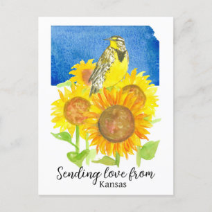 Liefde sturen vanuit Kansas Meadowlark Zonnebloeme Briefkaart