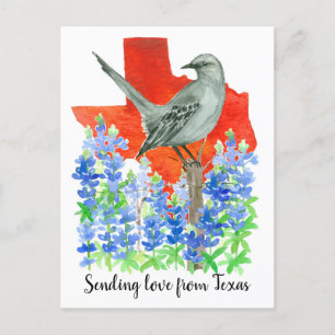 Liefde sturen vanuit Texas Mockingbird Bluebonnets Briefkaart