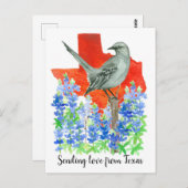 Liefde sturen vanuit Texas Mockingbird Bluebonnets Briefkaart (Voorkant / Achterkant)