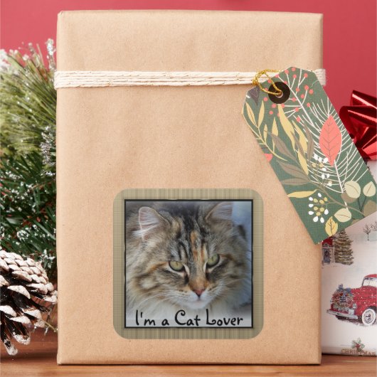 Liefde Tabby Kat Vierkant   Vierkante Sticker (Feestdagen)