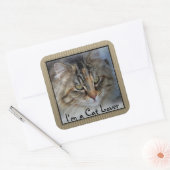 Liefde Tabby Kat Vierkant   Vierkante Sticker (Envelop)