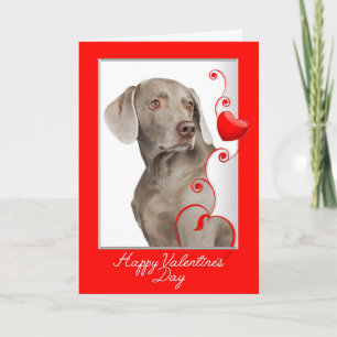 Liefde u meer! Weimaraner Valentijn Feestdagen Kaart