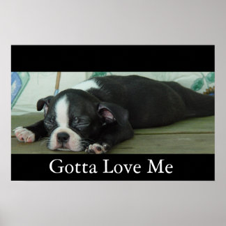 Liefde uit Boston Poster