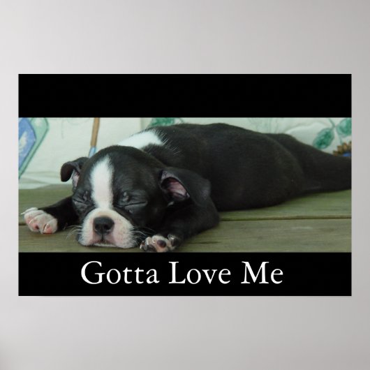 Liefde uit Boston Poster (Voorkant)