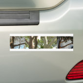 LIEFDE, uitgespeld door bomen Bumpersticker (Op auto)