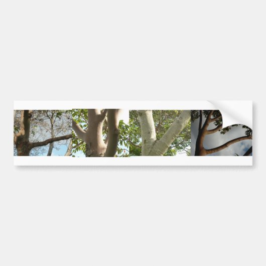 LIEFDE, uitgespeld door bomen Bumpersticker (Voorkant)