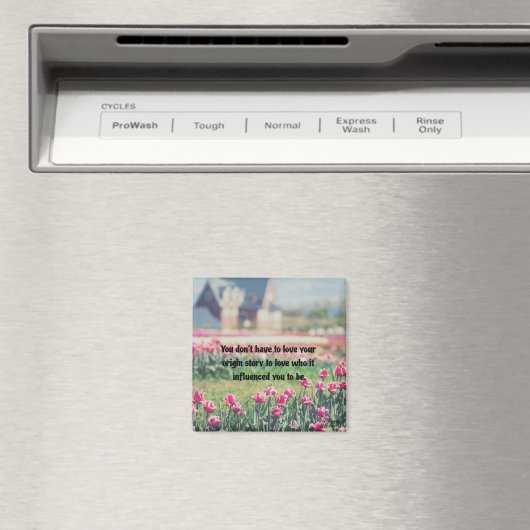 Liefde uw eigen snelle prijszetter Magnet (Insitu (Vaatwasser))