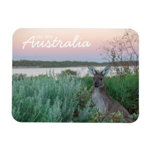 Liefde van Australië Kangaroo Sunset Lake Magneet