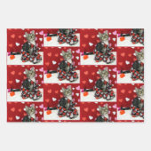 Liefde van Bandit - Kat- en keukenpapierbladen Inpakpapier Vel (Voorkant 2)