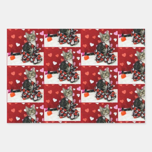 Liefde van Bandit - Kat- en keukenpapierbladen Inpakpapier Vel (Voorkant 3)
