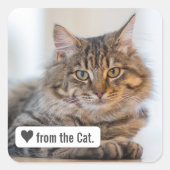 Liefde van Cat met Heart Square Envelope Sticker (Voorkant)