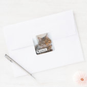 Liefde van Cat met Heart Square Envelope Sticker (Envelop)