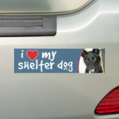 Liefde van de Belgische sjepdog Bumpersticker (Op auto)