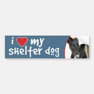 Liefde van de Belgische sjepdog Bumpersticker