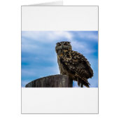 Liefde van de Vrede van het Lot van de Natuur van (Voorkant)