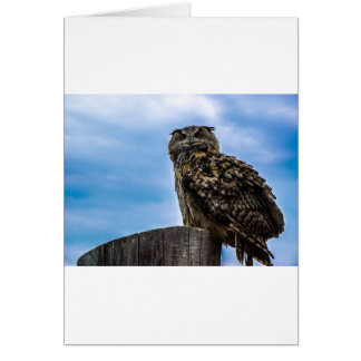 Liefde van de Vrede van het Lot van de Natuur van