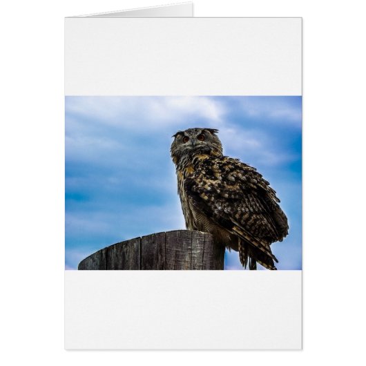 Liefde van de Vrede van het Lot van de Natuur van (Voorkant)