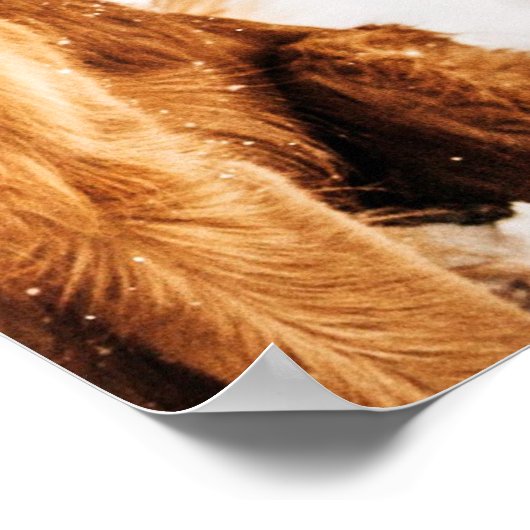 Liefde van een hond van Laura Jaworski Poster (Hoek)