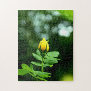 Liefde van gele rozen 252 stuks puzzels 11x14