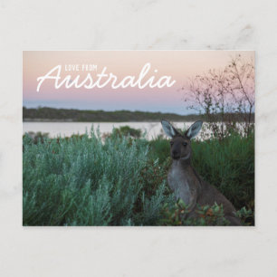 Liefde van het Australische Briefkaart Kangaroo Su