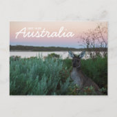Liefde van het Australische Briefkaart Kangaroo Su (Voorkant)