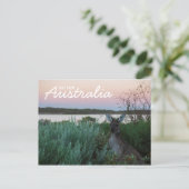 Liefde van het Australische Briefkaart Kangaroo Su (Staand voorkant)