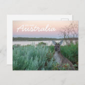 Liefde van het Australische Briefkaart Kangaroo Su (Voorkant / Achterkant)