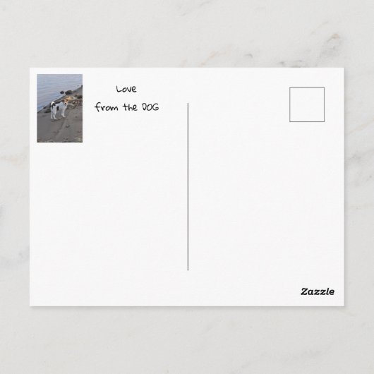 Liefde van Janz Jack Russell Briefkaart (Achterkant)