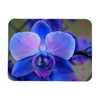 Liefde van jou Blauw en Zacht Roze Orchidee Magnet Magneet