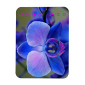 Liefde van jou Blauw en Zacht Roze Orchidee Magnet Magneet (Verticaal)
