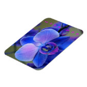 Liefde van jou Blauw en Zacht Roze Orchidee Magnet Magneet (Linkerzijde)