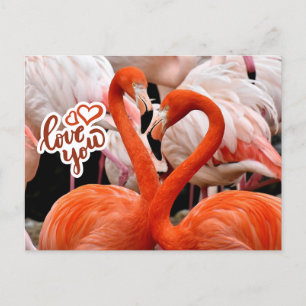 Liefde van jullie twee mooie Flamingo Birds Briefkaart