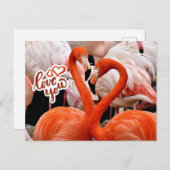 Liefde van jullie twee mooie Flamingo Birds Briefkaart (Voorkant / Achterkant)