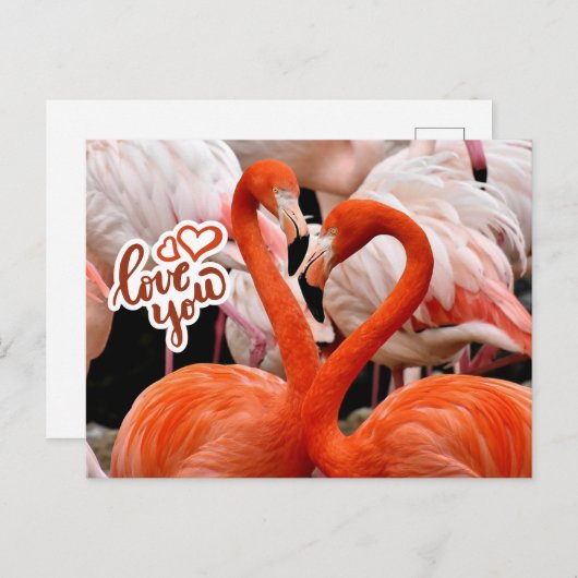 Liefde van jullie twee mooie Flamingo Birds Briefkaart (Voorkant / Achterkant)