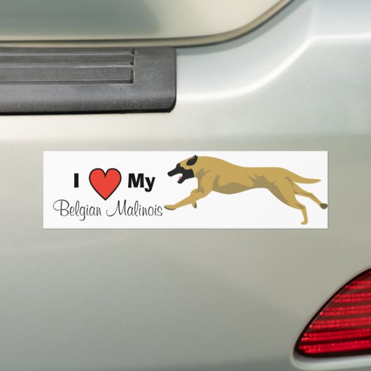 Liefde van mijn Malinois Bumpersticker (Op auto)