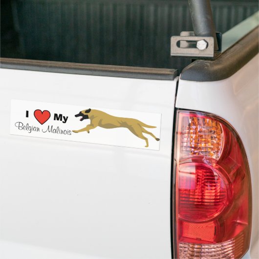 Liefde van mijn Malinois Bumpersticker (Op Truck)