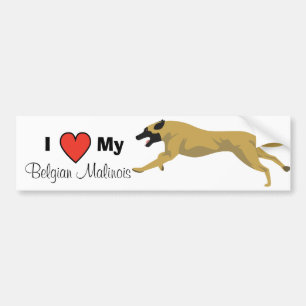 Liefde van mijn Malinois Bumpersticker