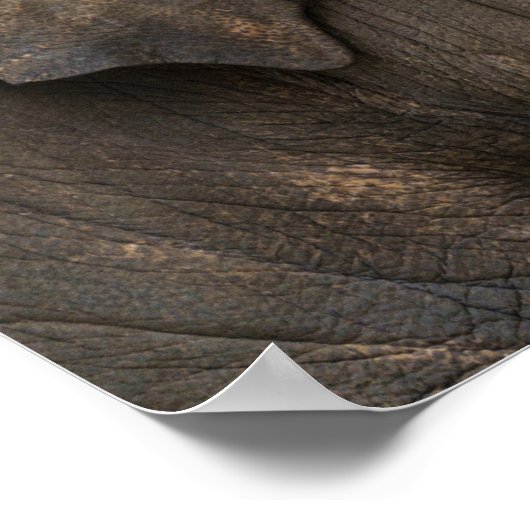 Liefde van moeder Elephant Poster (Hoek)