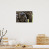 Liefde van moeder Elephant Poster (Keuken)