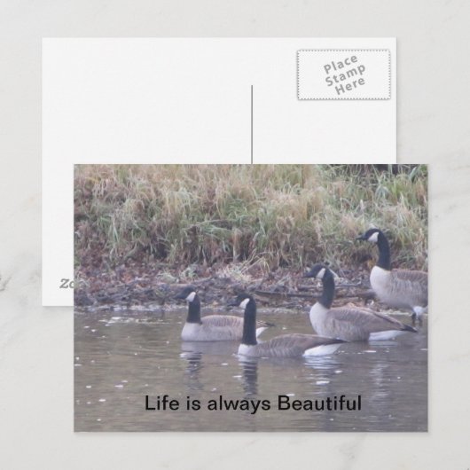 Liefde van Natuur Briefkaart (Voorkant / Achterkant)